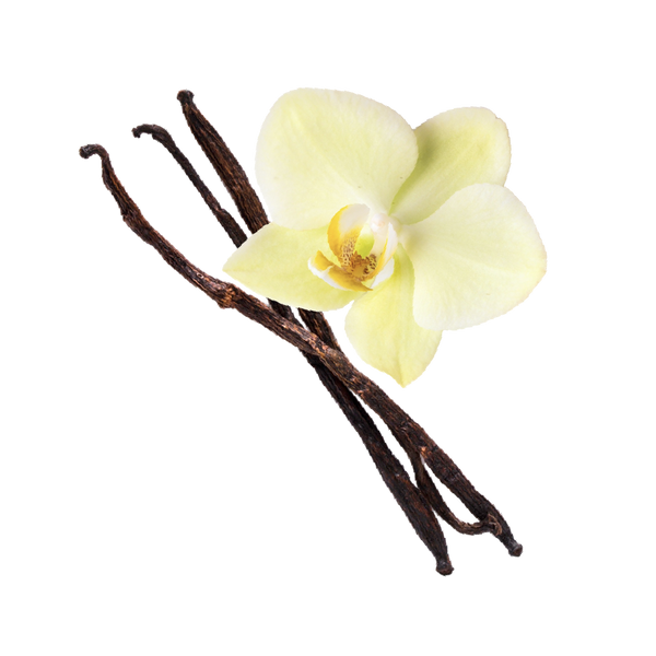 VANILLA.png__PID:0f1b97e4-be74-48ec-b2ec-af0aca29eb3f