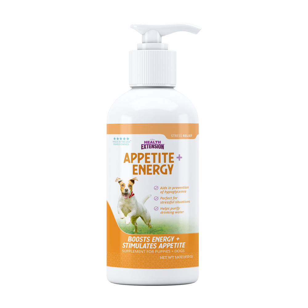 Beautiful view of High Stress Supplement For Dogs