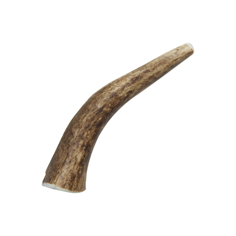 Natural Elk Antlers - Whole