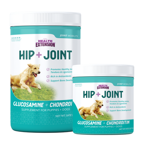 HIP + JOINT Mobility Supplement
