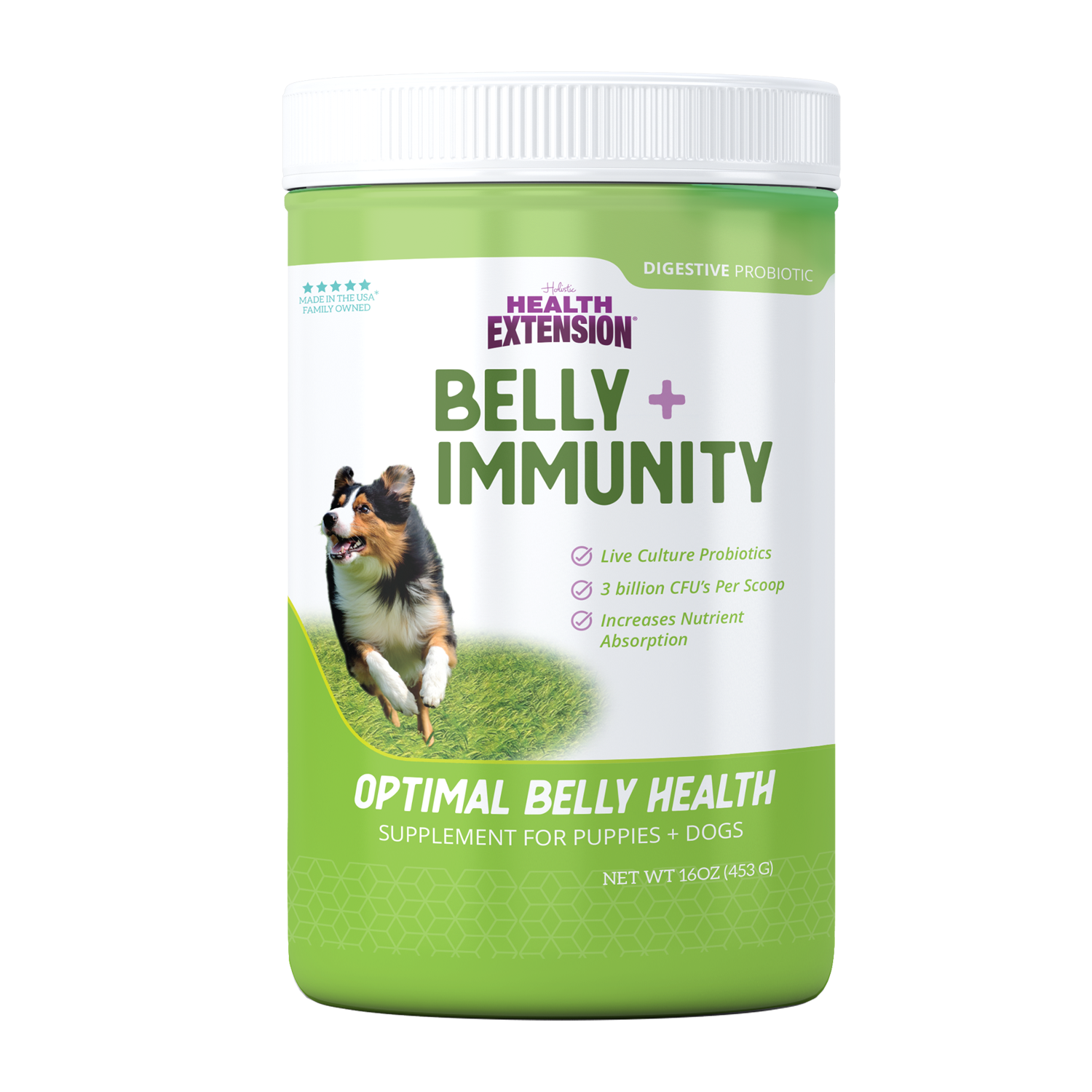 BELLY + IMMUNITY Digestive Probiotic Supplement