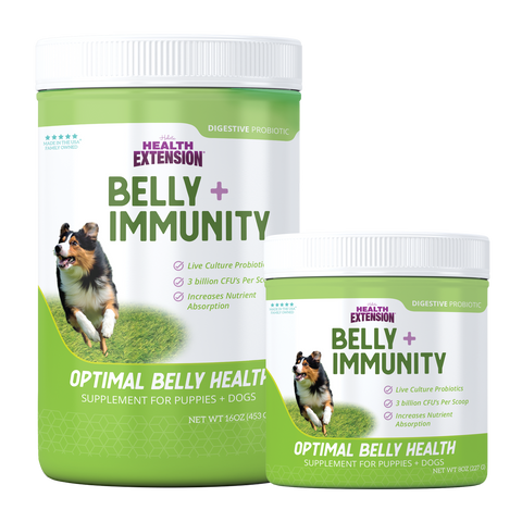 BELLY + IMMUNITY Digestive Probiotic Supplement