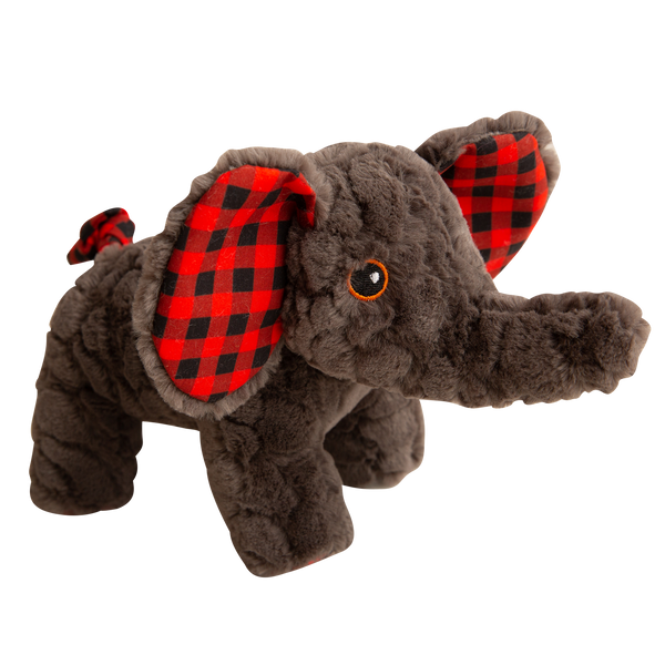 main_sa_eli_elephant_grande.